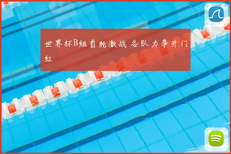 世界杯B组首轮激战 各队力争开门红