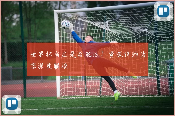 世界杯当庄是否犯法？资深律师为您深度解读