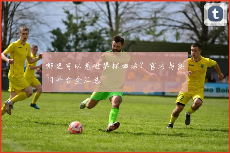 哪里可以看世界杯回访?官方与热门平台全汇总