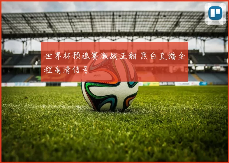 世界杯预选赛激战正酣 黑白直播全程高清信号
