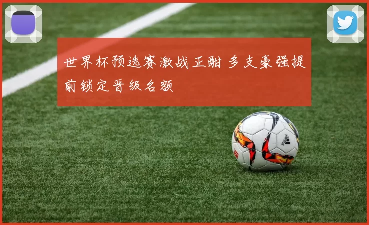 世界杯预选赛激战正酣 多支豪强提前锁定晋级名额