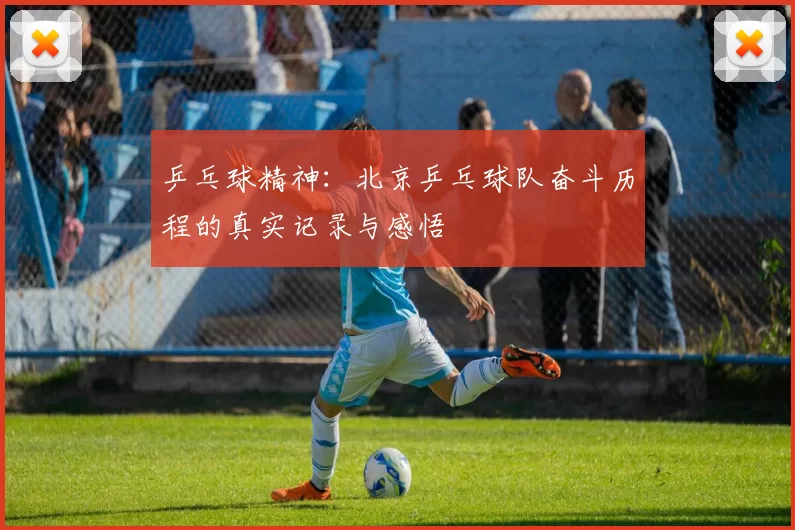 乒乓球精神:北京乒乓球队奋斗历程的真实记录与感悟