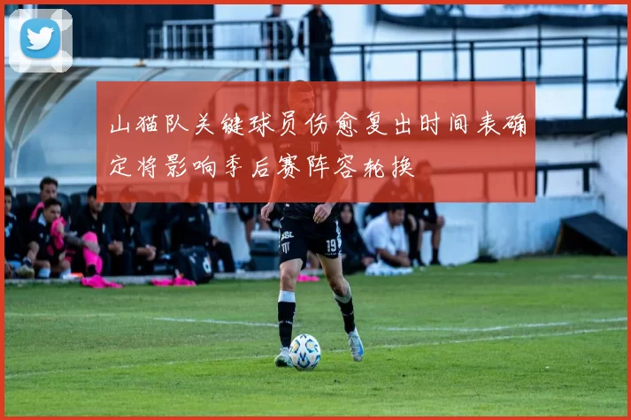 山猫队关键球员伤愈复出时间表确定将影响季后赛阵容轮换
