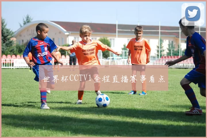 世界杯CCTV1全程直播赛事看点