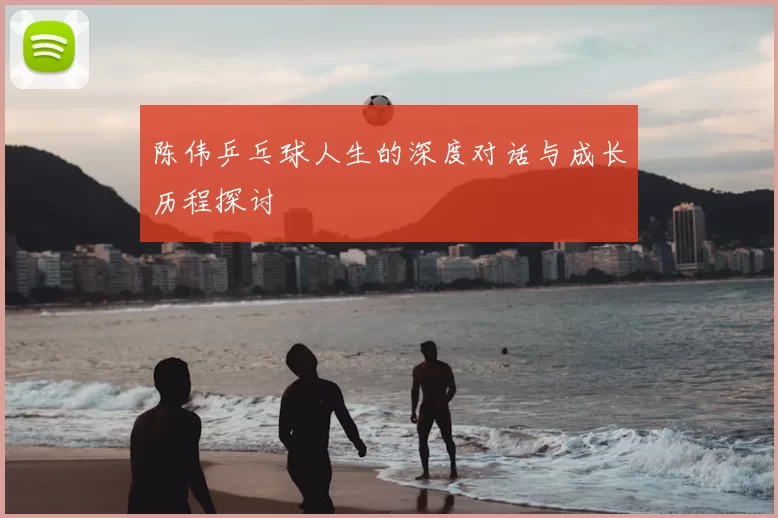 陈伟乒乓球人生的深度对话与成长历程探讨