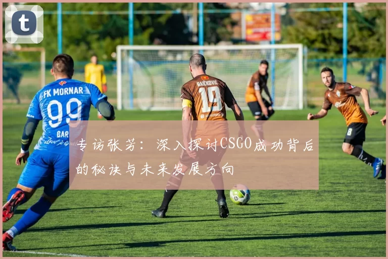 专访张芳：深入探讨CSGO成功背后的秘诀与未来发展方向