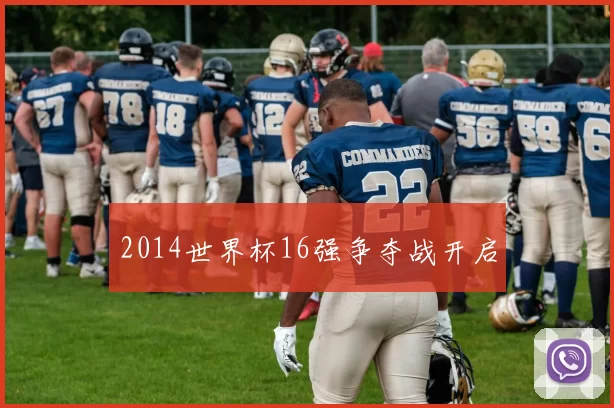 2014世界杯16强争夺战开启