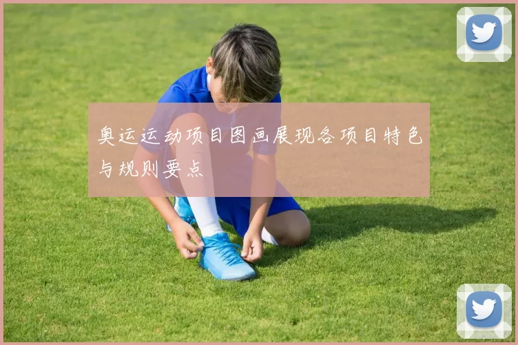 奥运运动项目图画展现各项目特色与规则要点