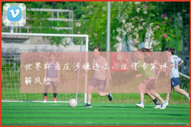 世界杯当庄涉嫌违法，法律专家详解风险