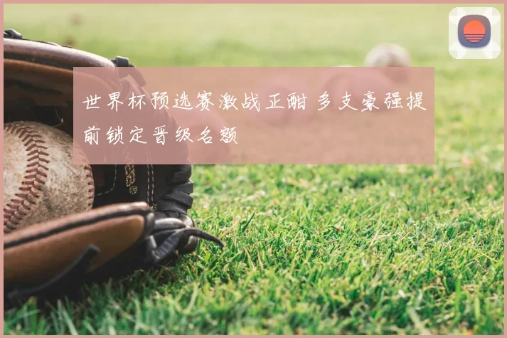 世界杯预选赛激战正酣 多支豪强提前锁定晋级名额