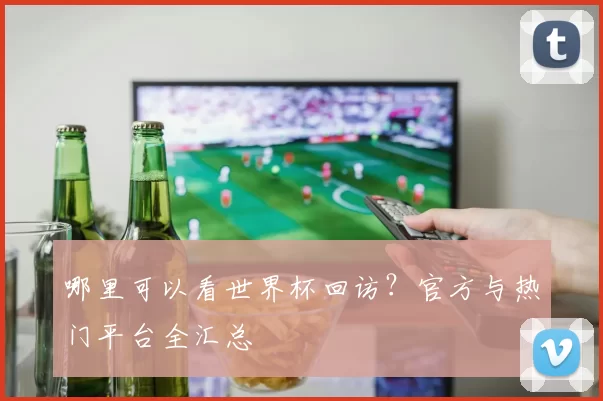 哪里可以看世界杯回访？官方与热门平台全汇总