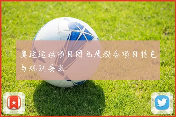 奥运运动项目图画展现各项目特色与规则要点