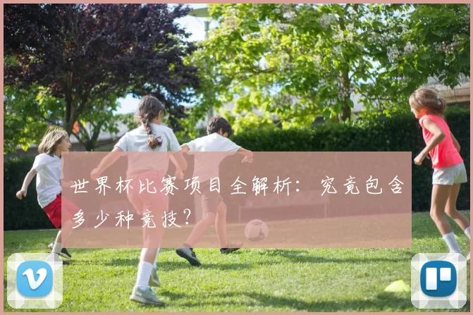 世界杯比赛项目全解析：究竟包含多少种竞技？