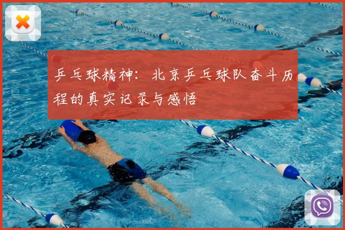 乒乓球精神：北京乒乓球队奋斗历程的真实记录与感悟