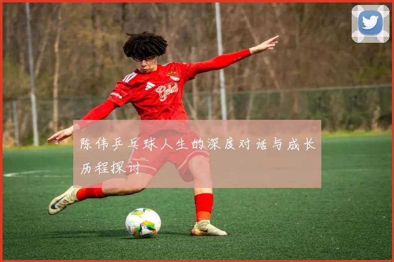 陈伟乒乓球人生的深度对话与成长历程探讨