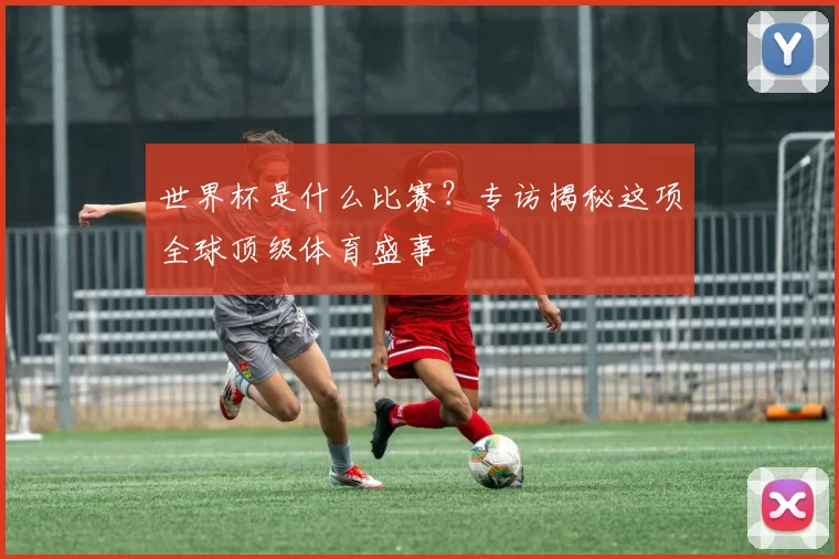世界杯是什么比赛？专访揭秘这项全球顶级体育盛事