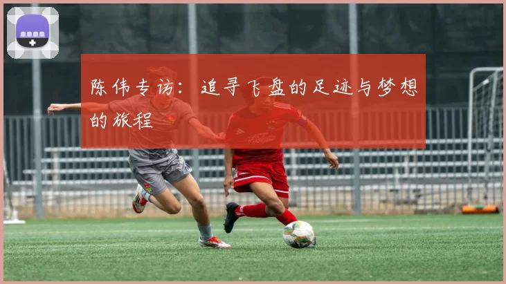 陈伟专访:追寻飞盘的足迹与梦想的旅程